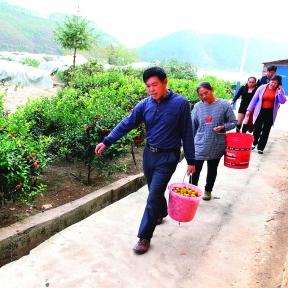 桂林聚果园的相关长尾关键词有哪些