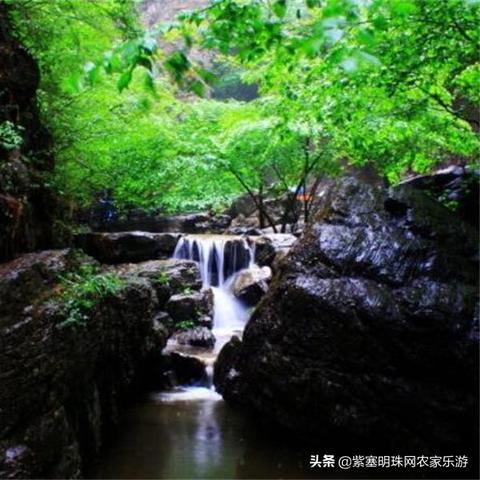 保定市马术俱乐部培训的长尾关键词有哪些