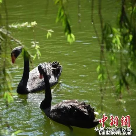 深圳市第二人民医院住院的有饭堂和洗澡间吗？