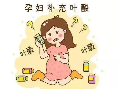 孕期为什么要补“叶酸”
