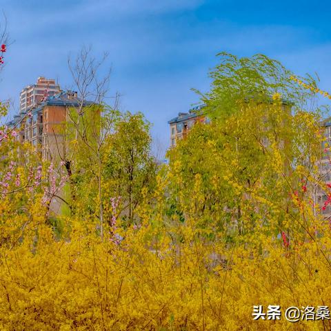 临沂市春天幼儿园美篇的长尾关键词有哪些