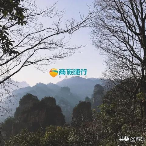 从南宁市到张家界怎么去