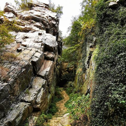 苏州常熟面去哪里学