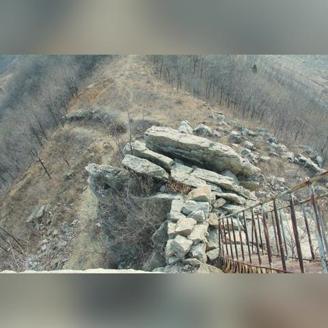 临沂市燕窝粥厂家的长尾关键词有什么
