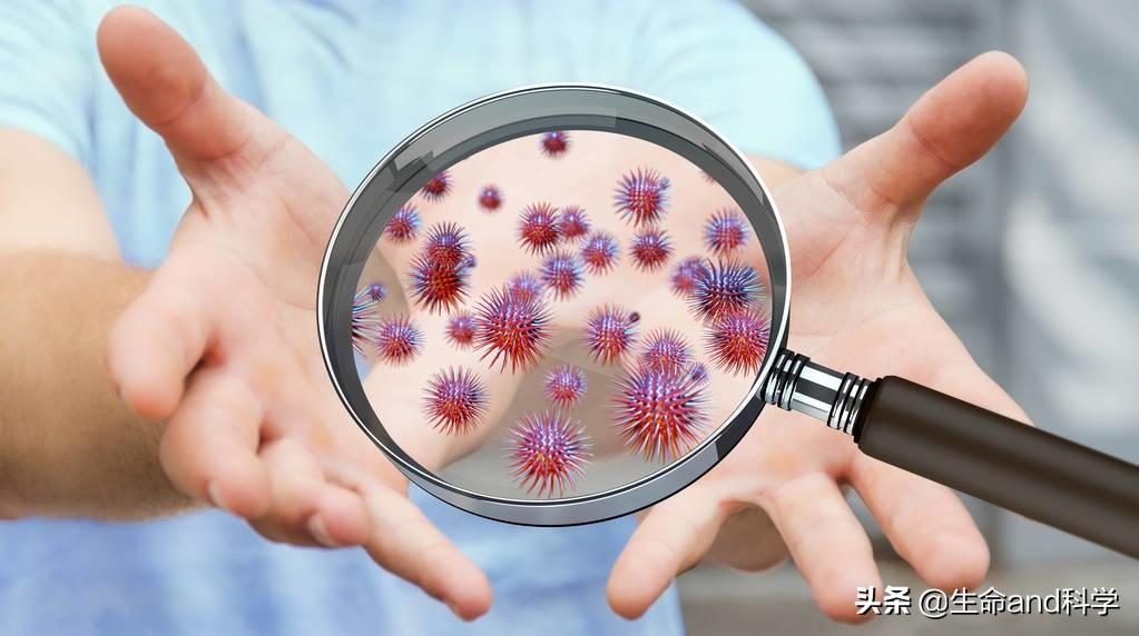 环境卫生学本科毕业论文北华大学公共卫生学院怎么样