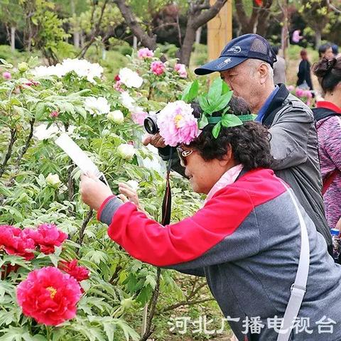 哪些字八字头哪些人字头呢_哪些字八字头哪些人字头呢(八字头的字和人字头的字)