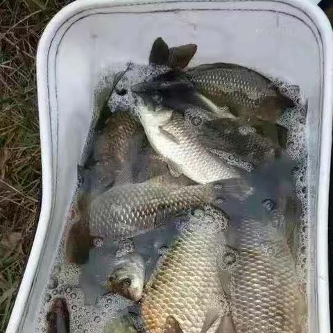 大板站到兰州站火车的相关长尾关键词有哪些