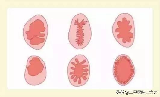 为什么男孩普遍比女孩高