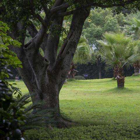 福建南平属于哪个区域