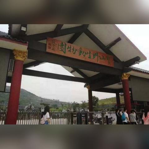 临沂市动物园在哪里