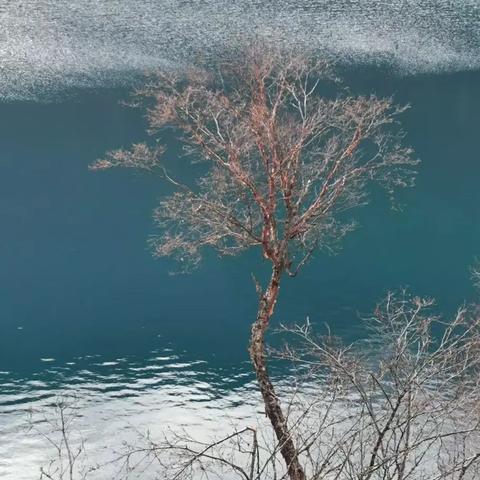 【合肥未来15天天气预报】合肥未来15天气情况查询