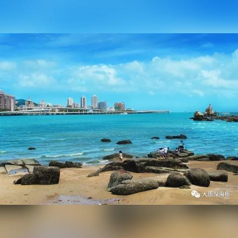 厦门的钓场的相关长尾关键词有哪些
