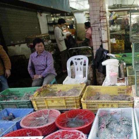 温州市警察待遇怎么样