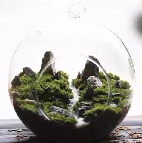 玻璃罐可以做什么美食（玻璃罐有毒吗）
