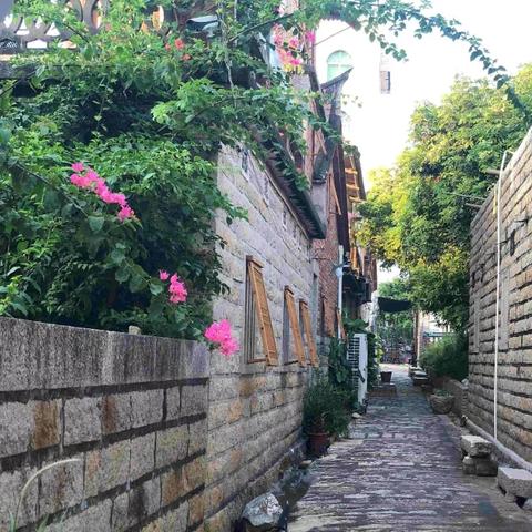 厦门市86号民宿在哪里