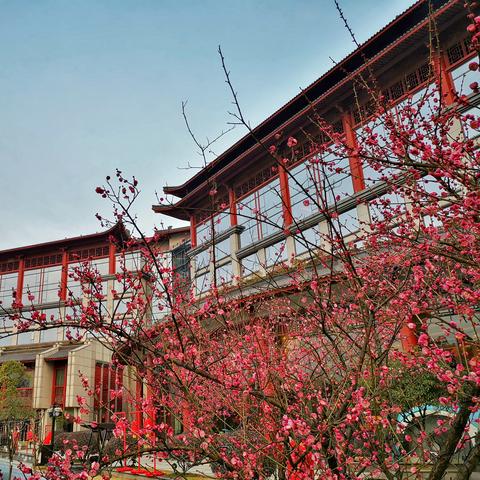 桂林草地烧烤酒店价格相关长尾关键词有哪些