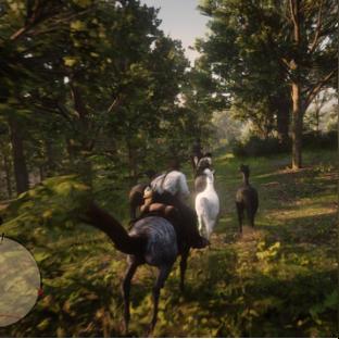 荒野大镖客2攻略（荒野大镖客2全面攻略指南）