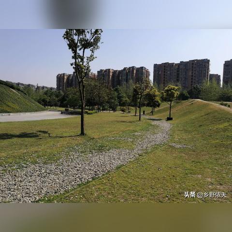 成都市哪里按摩的多一点