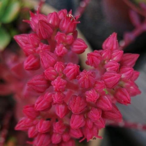 宿迁市和济南市哪个大