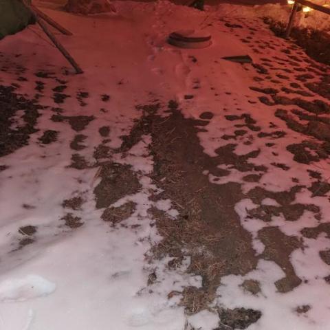 武汉战疫有感的长尾关键词有什么