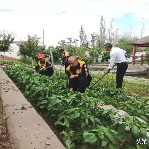 兰州车务段退休认证公示的相关长尾关键词有哪些