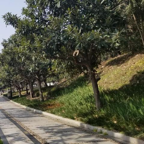 当下苏州市疫情会怎么样