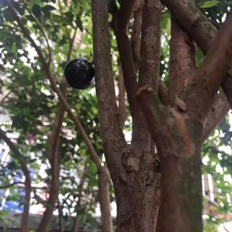 桂林市水果专卖店有哪些