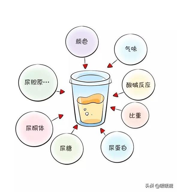 孕妇白细胞偏高是什么原因