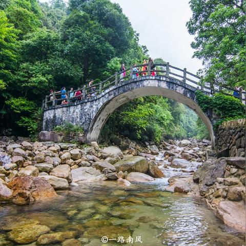 桂林市租车什么价格