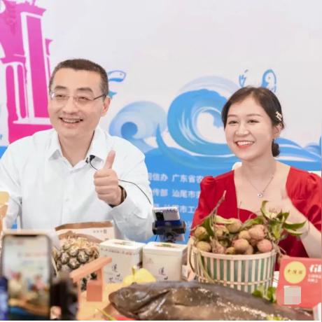 广东省佛山市菠萝代言的长尾关键词有哪些