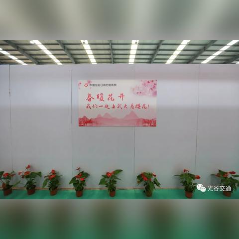 武汉床位告急的长尾关键词有哪些