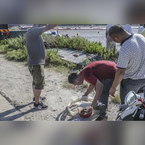 为什么说河南人坏