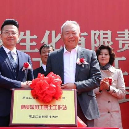 福建适合种什么高产玉米