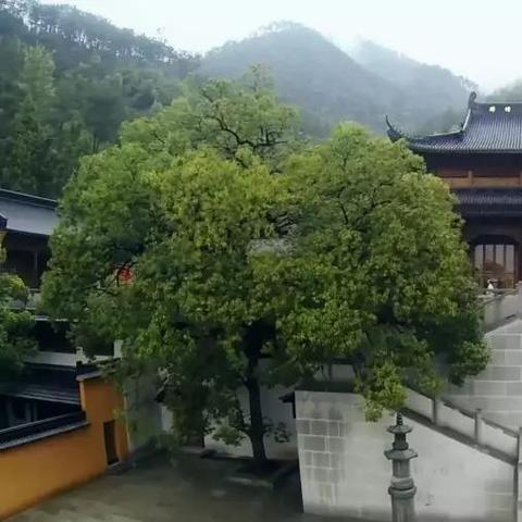 杭州市有什么泉