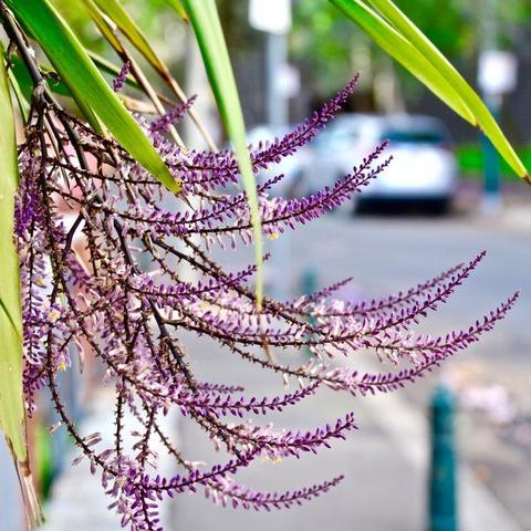 悉尼九月什么温度