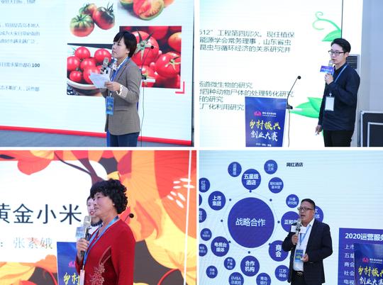 青岛即墨乡村振兴创业大赛复赛举行，30个优秀项目路演角逐
