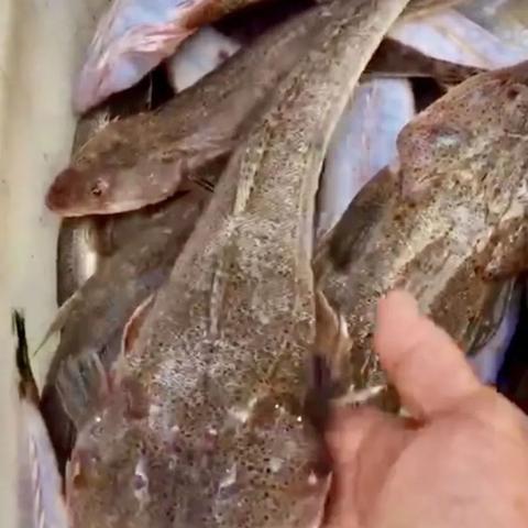 南宁那里吃海鲜便宜？