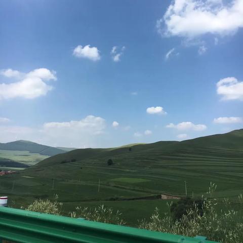 从天津去哪个草原好走