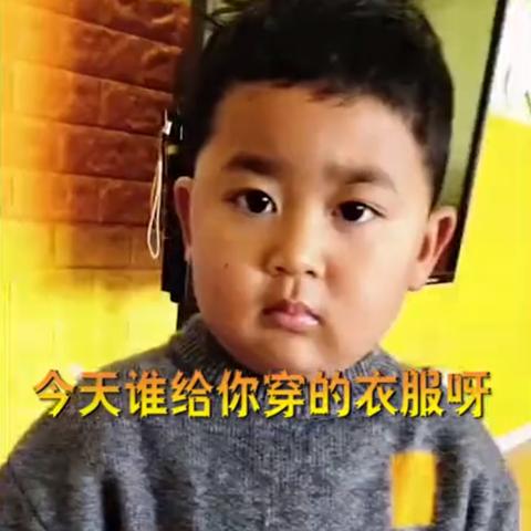 保定市毛衣分拣厂家有哪些