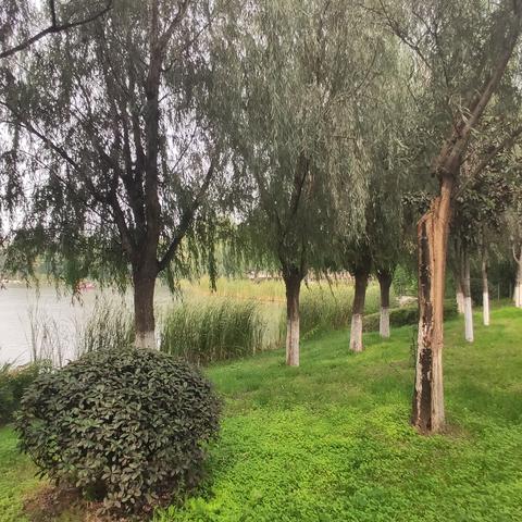 西安市大明宫有什么