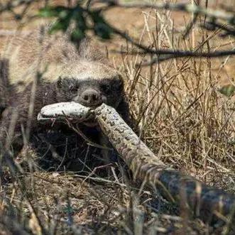 大连市不怎么样