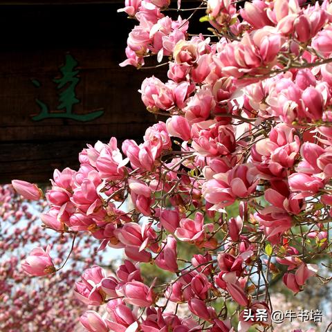 南宁市余醉餐饮店怎么样