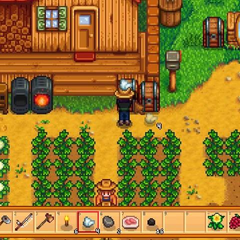 星露谷怎么赚钱（星露谷物赚钱攻略，打造财富之路）