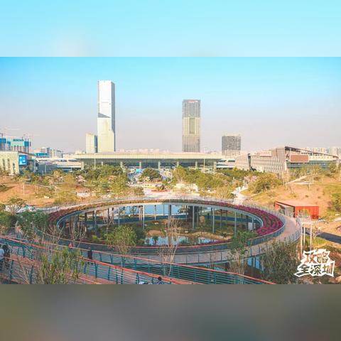 深圳市云顶怎么样