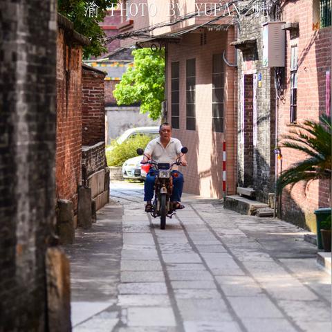 佛山市的地区分布在哪里