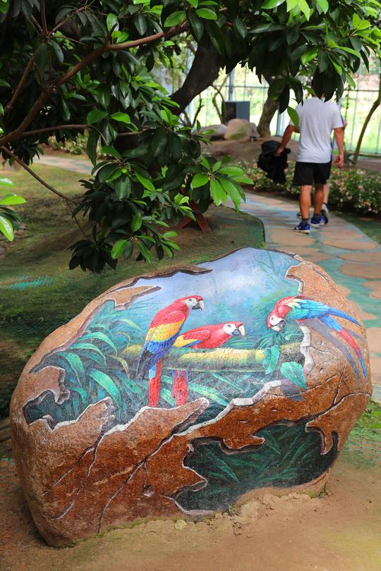 江苏南通洲际绿博园3d立体石头画、树洞画精彩纷呈栩栩如生