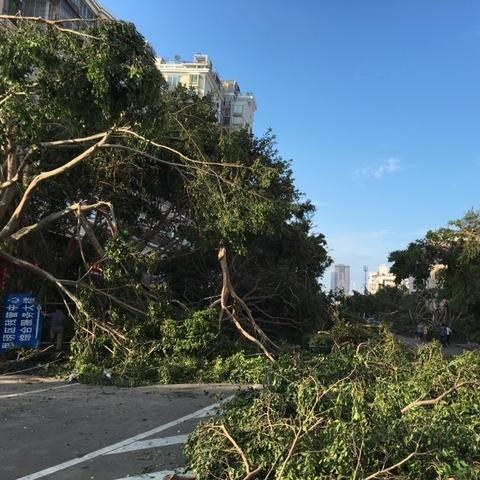 厦门市市人口有多少人口