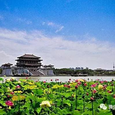 陕西省大雁塔广场面积是多大？