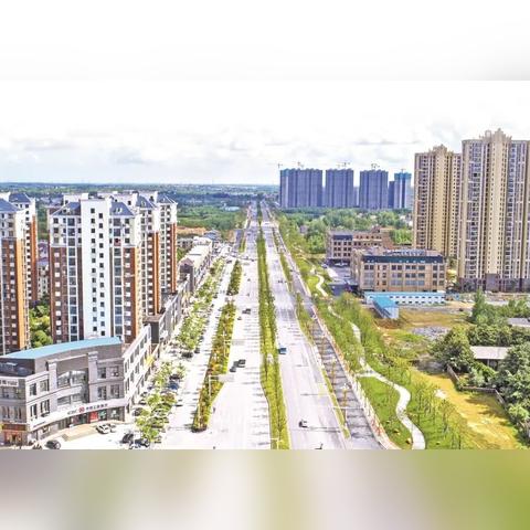 武汉市五大奖什么时候发