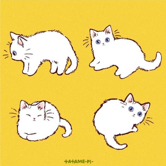 可爱的猫咪简笔画，超级实用的素材！（转发收藏）